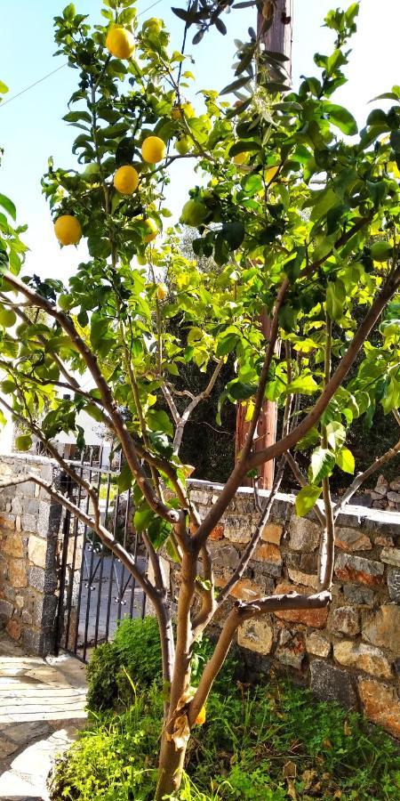 Traditional House In Elounda Exterior foto